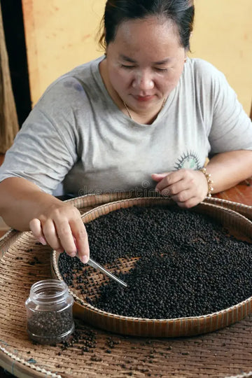 Was unterscheidet Kampot Pfeffer von anderen Sorten?